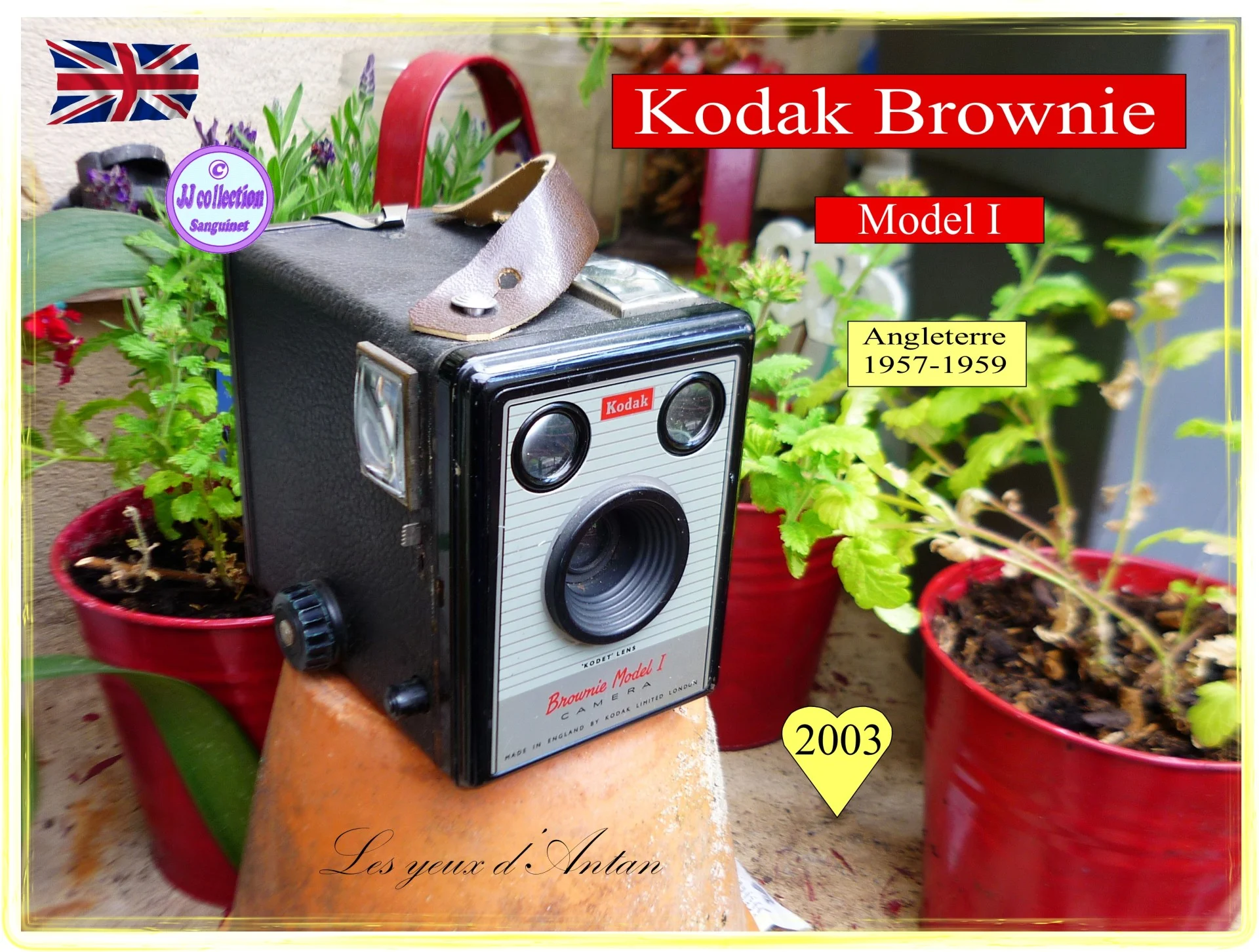 Brownie model i 1