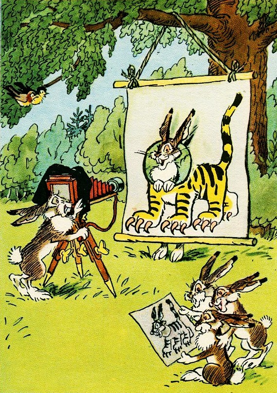 bunny