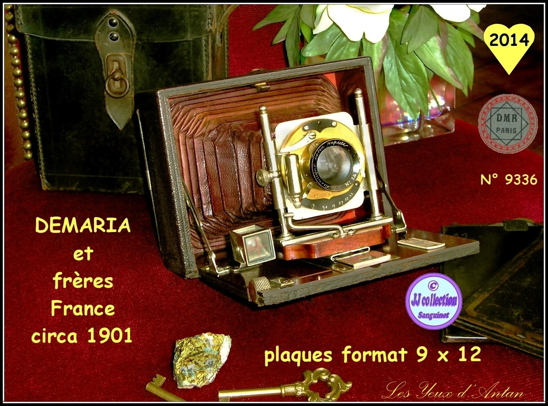 Demaria 1901