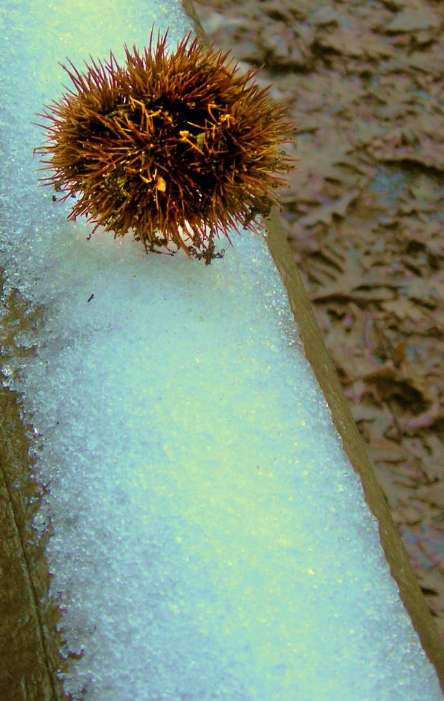 pique à glace