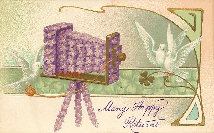 violettes