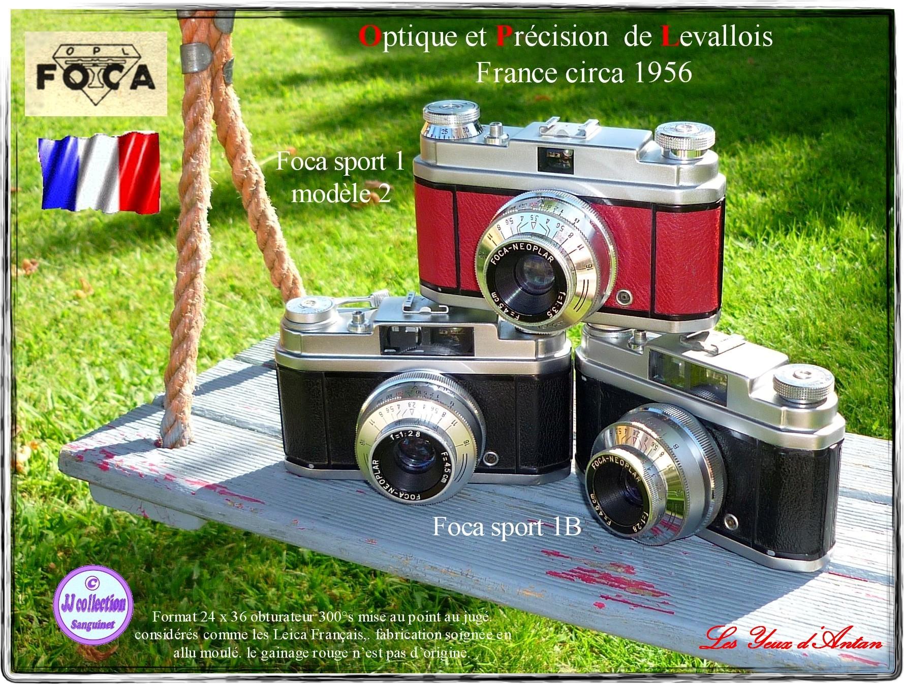Foca sport 1